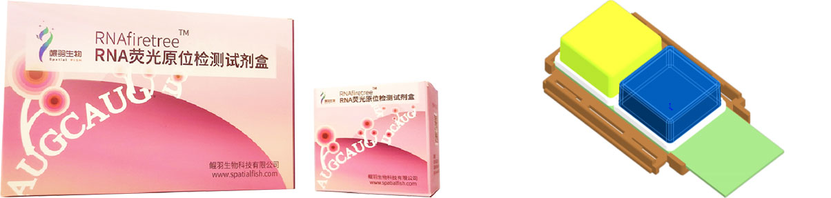 RNA FISH探針試劑盒