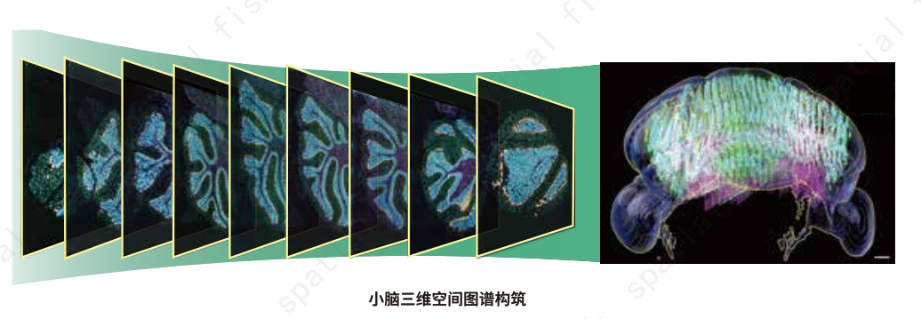 微信圖片_20231124163402.png